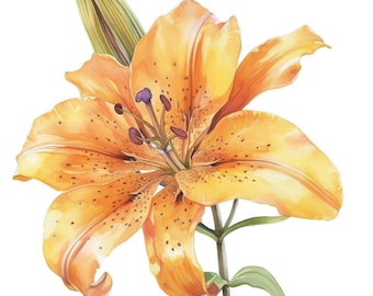12 Coloured Lily Clipart, Wildflower Floral Digital Set, Printable Watercolor Clipart, Instant Digital Download, Scrapbooking, Junk Journals