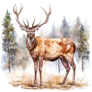 13 Red Deer in Nature Clipart Bundle Set, Printable Watercolor clipart, Digital download, High resolution, Paper crafts, journals, planner