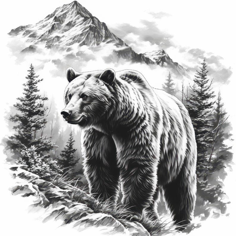 15 Black and White Bear Clipart Bundle, Bear Ink Illustrations ...