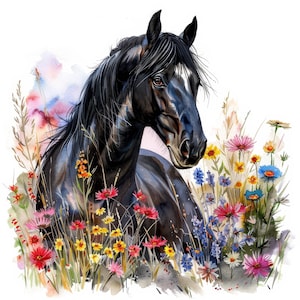 11 Horses and Flowers Clipart Bundle Set, Printable Watercolor clipart, High Quality JPGs, Digital download, Sublimation, junk journals