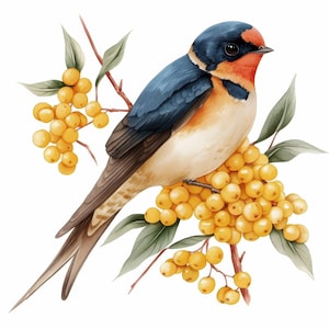 Paquete de 10 imágenes prediseñadas de golondrinas, ilustraciones de ramas de mimosa, imágenes prediseñadas de acuarela imprimibles, JPG de alta calidad, manualidades de papel, revistas basura