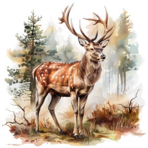 Paquete de 13 imágenes prediseñadas de ciervos rojos en el bosque, conjunto de imágenes prediseñadas de renos, imágenes prediseñadas de acuarela imprimibles, ilustraciones de ciervos, descarga digital, diarios,