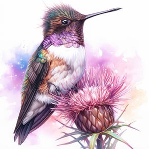 Lot de 15 cliparts colibris floraux, images d'illustrations imprimables oiseaux mignons aquarelles, JPG haute qualité, téléchargement numérique, créations en papier