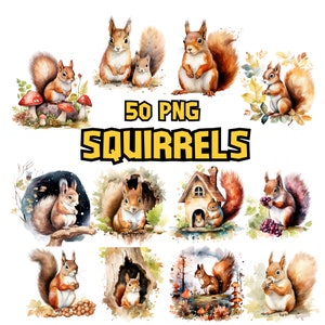 Bundle de cliparts écureuils aquarelle, graphiques PNG écureuil heureux, Images d'animaux de la forêt, Illustrations d'animaux des bois, usage Commercial