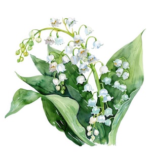 Lot de 12 cliparts bouquet de muguet, illustrations de muguet, clipart aquarelle imprimable, JPG de haute qualité, créations en papier, journal de bordel