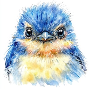 Lot de 13 cliparts portrait d'oiseau mésange bleue, illustration aquarelle imprimable, clipart aquarelle imprimable, fichiers JPG de haute qualité, journaux indésirables