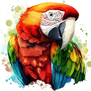 11 Parrot Portrait Clipart Bundle, Printable Watercolor Parrot Clipart, High Quality JPGs, Digital download, Paper crafts, Junk Journals