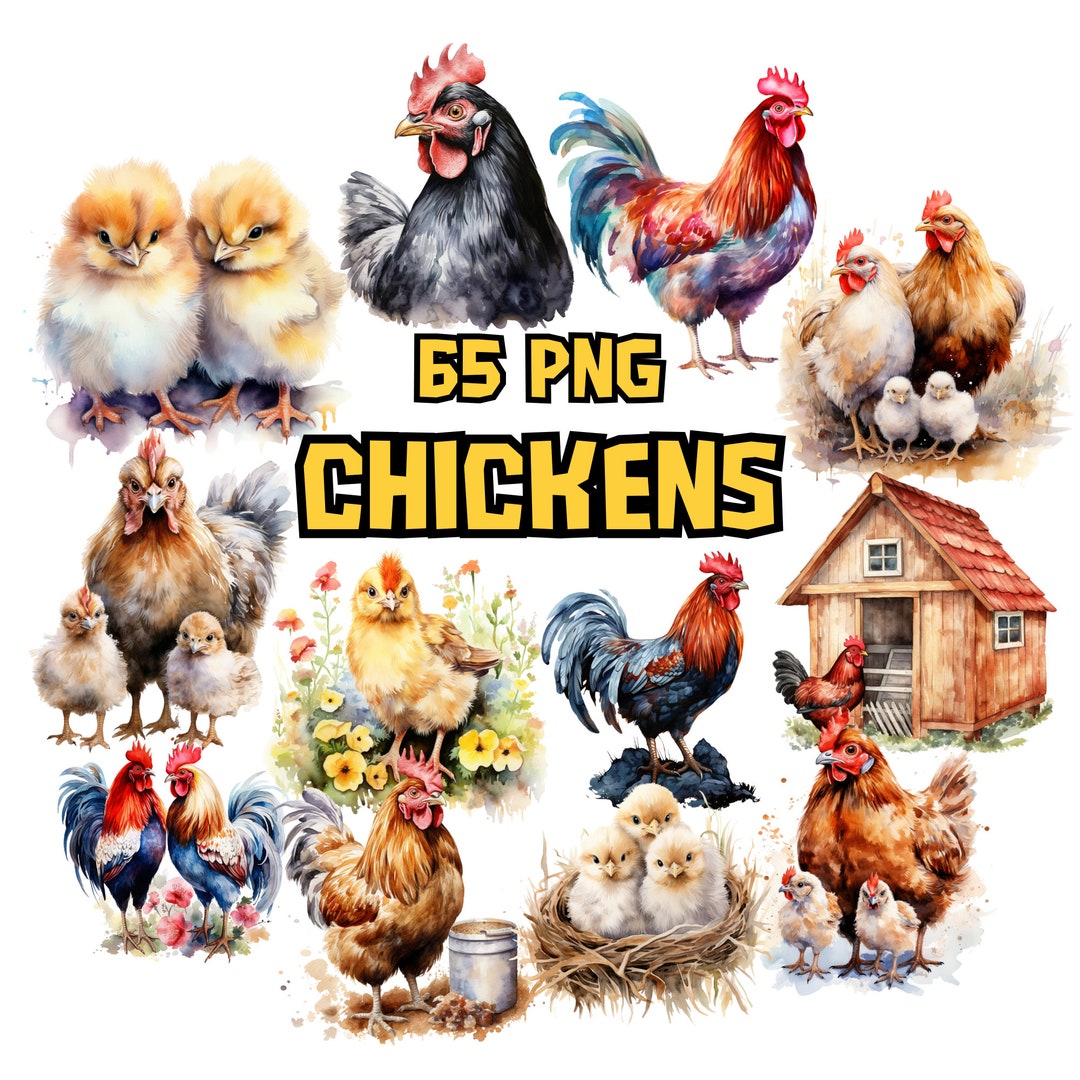 Watercolor Chickens Clipart Bundle | Roaster Clipart Set, Animal PNG ...