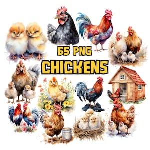 Lot de cliparts aquarelles de poulets | Ensemble de cliparts de torréfacteur, graphiques PNG animaux, illustrations de poussins téléchargement immédiat pour un usage commercial