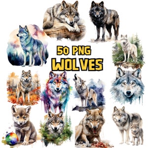 Bundle de cliparts aquarelle loups, loup mignon, graphiques PNG, Illustrations d'animaux de la forêt, bébé loup, téléchargement immédiat pour un usage commercial