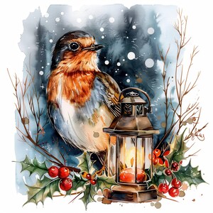 20 Christmas Robin Clipart Bundle Set, Printable Watercolor Clipart ...