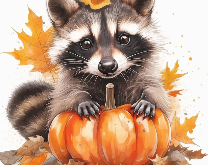 Fall Racoon Decor 12 Cute Fall Raccoons Clipart | Watercolor Autumn Raccoon | High ...