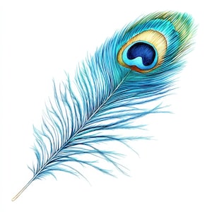 17 Peacock Feather Clipart Bundle, Gorgeous Peacock, Printable Watercolor clipart, High Quality JPGs, Paper craft, journal, Digital download