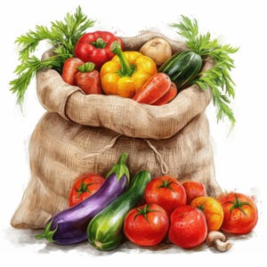 Lot de 14 cliparts pour sac de légumes frais, illustrations d'images de légumes, clipart aquarelle imprimable, JPG haute qualité, créations en papier, journal indésirable