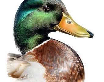 Conjunto de 2 cliparts de pato-real com 12 ilustrações, ilustrações de retratos de pato, clipart em aquarela para impressão, JPG de alta qualidade, artesanato em papel, diário de sucata