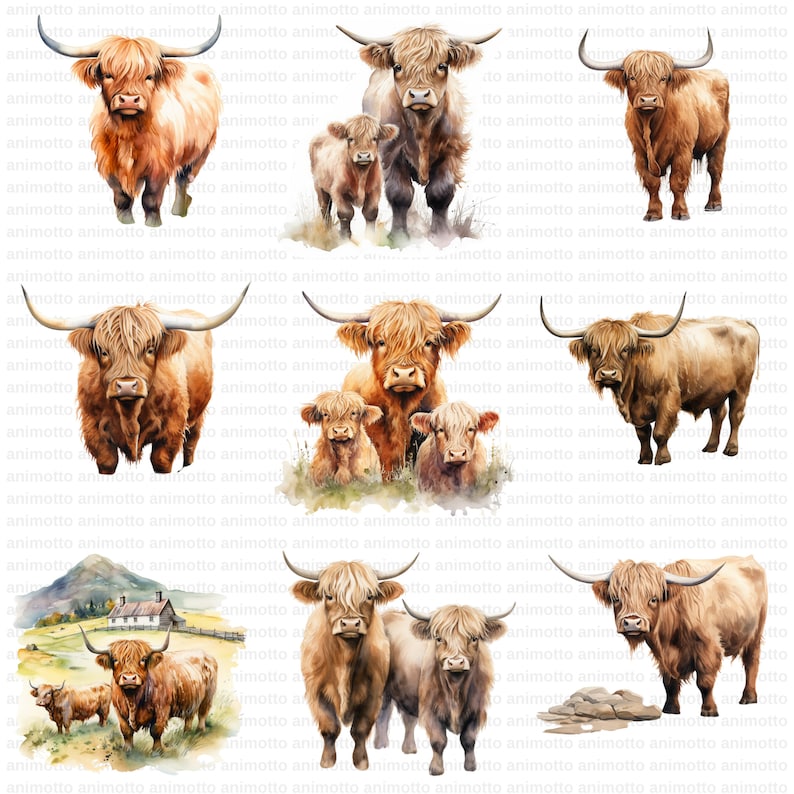 Watercolor Highland Cows Clipart Bundle, Highland Cow Illustrations, Nursery Decor Clipart Set, Transparent PNG Images, Commercial Use
