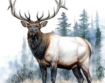 18 älgväggkonst clipart-set, rådjur i skogen-illustrationer, utskrivbara akvarell clipart, högkvalitativa JPG-bilder, digital nedladdning, kommersiellt bruk