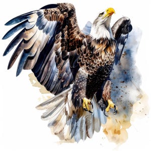 12 Flying Eagle Clipart Bundle, Bald Eagle, Printable Watercolor clipart, High Quality JPGs, Digital download, Paper craft, junk journals