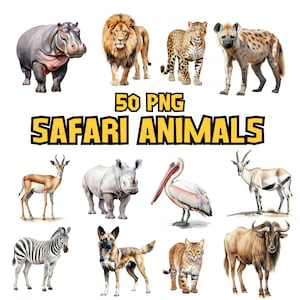 Watercolor Safari Animals Clipart | Safari Clip Art | Lion, Zebra, Hippo Illustrations | PNG Graphics | Instant Download for Commercial Use