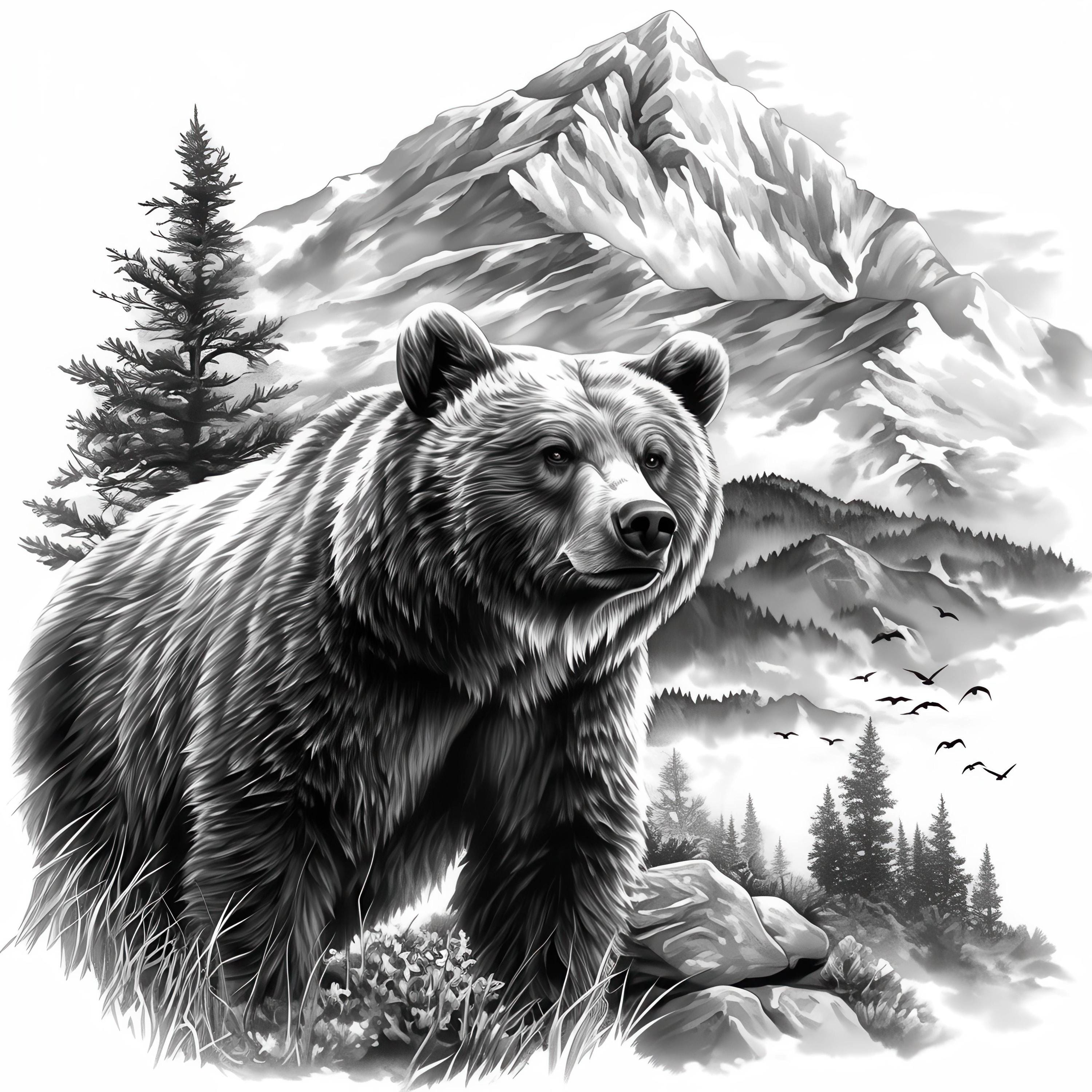 15 Black and White Bear Clipart Bundle, Bear Ink Illustrations ...