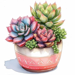 May include: A watercolor illustration of a potted succulent arrangement. The arrangement features a variety of succulents in shades of green, pink, and blue. The pot is white with a pink band and a geometric pattern.