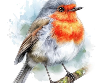 Set de 13 imágenes prediseñadas de petirrojos navideños, ilustraciones de diario de aves, imágenes prediseñadas de acuarela imprimibles, JPG de alta calidad, descarga digital, uso comercial