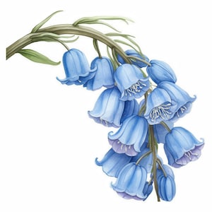 Lot de 12 cliparts fleurs bleues enchantées, clipart floral aquarelle imprimable, haute qualité JPG, téléchargement numérique, créations en papier, journal indésirable