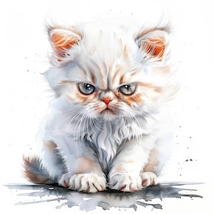 Paquete de 12 imágenes prediseñadas de gatitos tristes y gruñones, ilustraciones gráficas de gatos, imágenes prediseñadas de acuarela imprimibles, archivos JPG de alta calidad, manualidades de papel, diarios basura