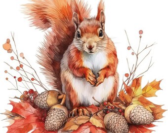 13 Autumn Squirrel Clipart, Floral Clipart For Crafting, Printable Watercolor Clipart, Instant Digital Download, Scrapbooking, Junk Journals
