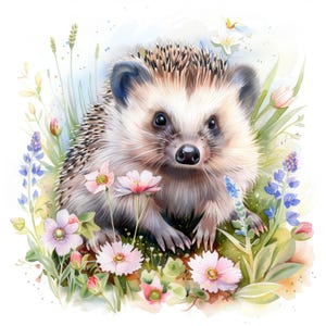 23 Floral Hedgehog Clipart, Printable Watercolor clipart, High Quality JPGs, Digital download, Paper craft, junk journals, digital planners