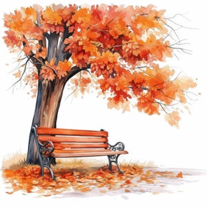 Paquete de 13 imágenes prediseñadas de bancos de árbol, ilustraciones de paz al aire libre, imágenes prediseñadas de acuarela imprimibles, JPG de alta calidad, manualidades de papel, revistas basura