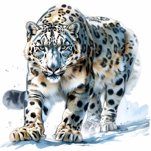 Lot de 16 cliparts léopard des neiges, clipart animaux aquarelle imprimable, JPG haute qualité, créations en papier, carnet de bord, fabrication de cartes