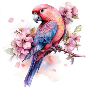 15 Parrot On Branch Clipart Bundle, Tropical Animal Images, Printable Watercolor clipart, High Quality JPGs, Digital download, junk journals