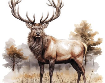 13 Red Deer Clipart, Wild Deer Artwork, Printable Watercolor Clipart, High Resolution, Instant Digital Download, Scrapbooking, Junk Journals