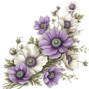 May include: A watercolour illustration of a bouquet of anemone flowers. The flowers are in shades of purple and white, with green centres and leaves. The arrangement is set against a white background.