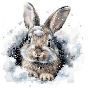 11 set di clipart di ritratti di coniglietti soffici, immagini di conigli invernali, clipart di acquerelli stampabili, JPG di alta qualità, artigianato di carta, diario spazzatura