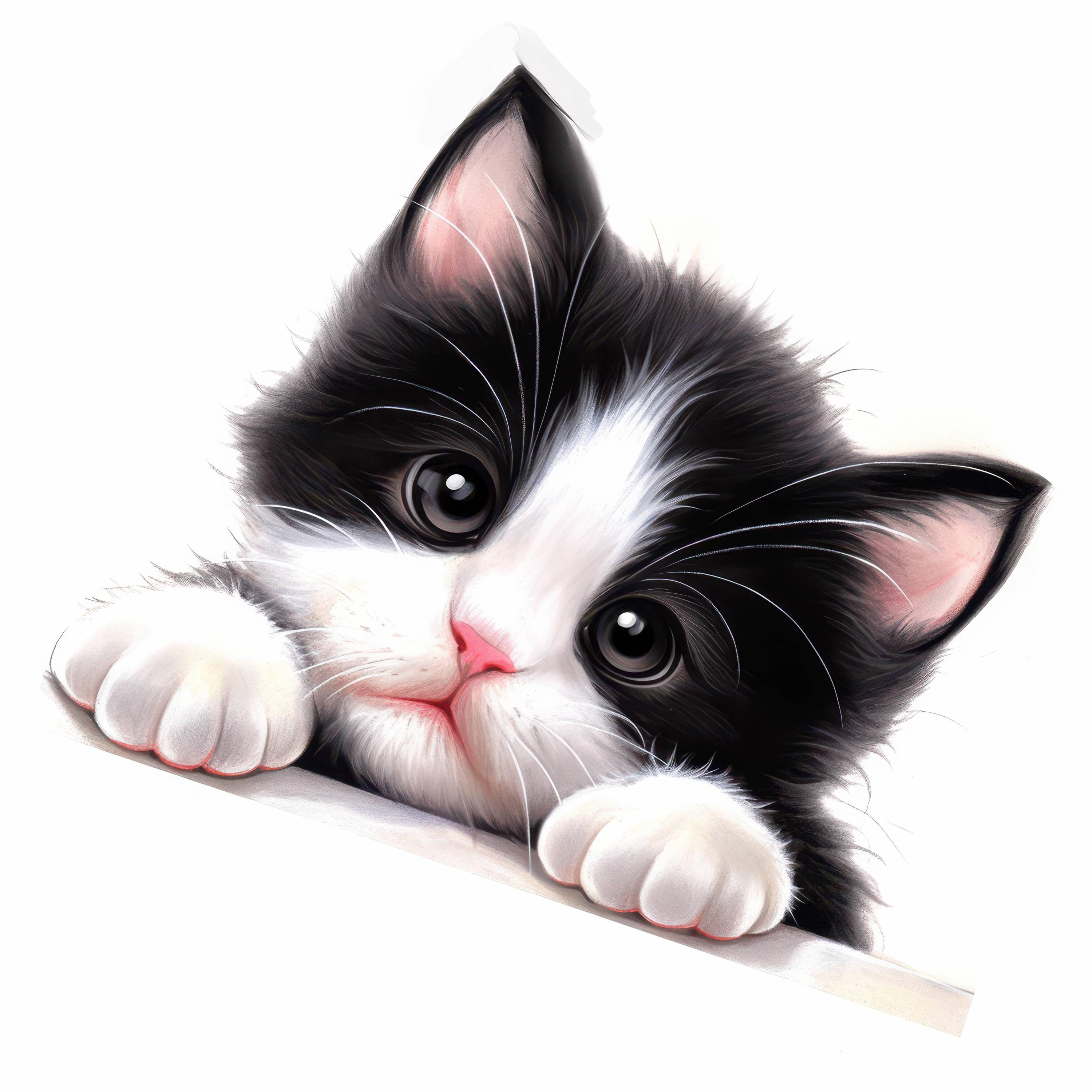 13 Black and White Cat Clipart Bundle, Cute Kitten Illustrations ...