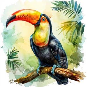 Pacote de 14 ilustrações de clipart de tucano, cliparts de pássaros tropicais em aquarela, JPG de alta qualidade, artesanato em papel, diários de lixo, criação de cartões