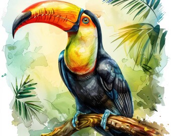 14 Toucan Clipart Illustration Bundle, Watercolor Tropical Birds Cliparts, High Quality JPG, Paper craft, Junk journals, Card Making