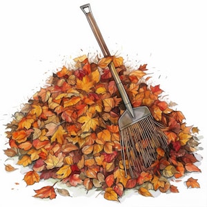 Puede incluir: Ilustración de una gran pila de hojas de otoño en tonos naranja, rojo y amarillo. Un rastrillo con mango marrón descansa sobre las hojas, listo para el trabajo de jardín. La imagen está sobre un fondo blanco.