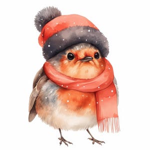 15 Rotkehlchen mit Hut, Clipart Bundle, Rotkehlchen Weihnachten, Weihnachten Illustrationen Hochwertige JPGs, Digitales Papierhandwerk, Junk Journal