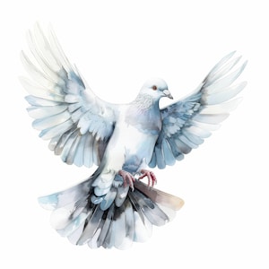 Ensemble de 10 cliparts colombe volante blanche, colombe de la paix, clipart aquarelle imprimable, JPG de haute qualité, téléchargement numérique, créations en papier, journaux intimes