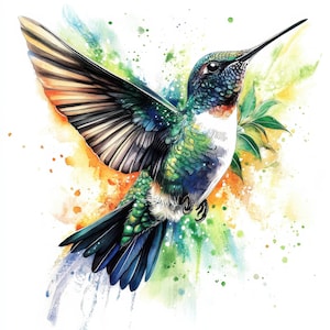 Pacote de 13 clipart de beija-flor Georgeous, ilustração gráfica de pássaro em aquarela para impressão, artesanato em papel digital JPG de alta qualidade, diários de lixo