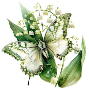19 Lily of the Valley Butterfly Clipart Set 2, clipart aquarelle imprimable, fichiers JPG de haute qualité, agendas numériques, créations en papier, journal indésirable