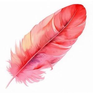 Pacote de 15 clipart de penas de pássaros vermelhos, penas lindas, clipart de aquarela para impressão, JPG de alta qualidade, artesanato em papel, diário, download digital