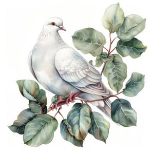 12 White Peace Dove Clipart Bundle, Illustrazione della colomba della pace, Clipart acquerello stampabile, JPG di alta qualità, Download digitale, diari spazzatura