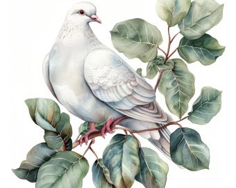 白い鳩のクリップアート | 5 つの高品質 JPG | デジタル ダウンロード