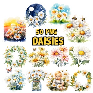 Bundle di clipart di margherite acquerellate, set di clipart di fiori primaverili, bouquet floreale PNG, immagini di fiori bianchi, illustrazioni di margherite, uso commerciale