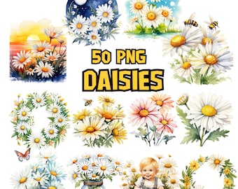 Watercolor Daisies Clipart Bundle, Spring Flower Clipart Set, Floral Bouquet PNG, White Flower Images, Daisy Illustrations, Commercial Use