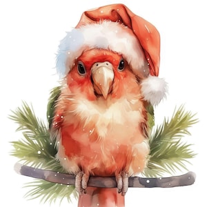 May include: A watercolor illustration of a festive parrot perched on a branch. The bird has red and orange plumage and wears a Santa hat with white trim. Green pine needles and a dusting of snow complete the holiday scene.